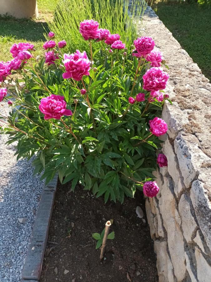 Guesthouse Marija Potpićan 외부 사진