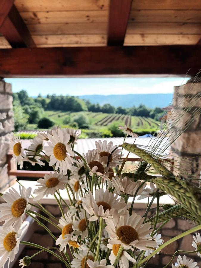 Guesthouse Marija Potpićan 외부 사진